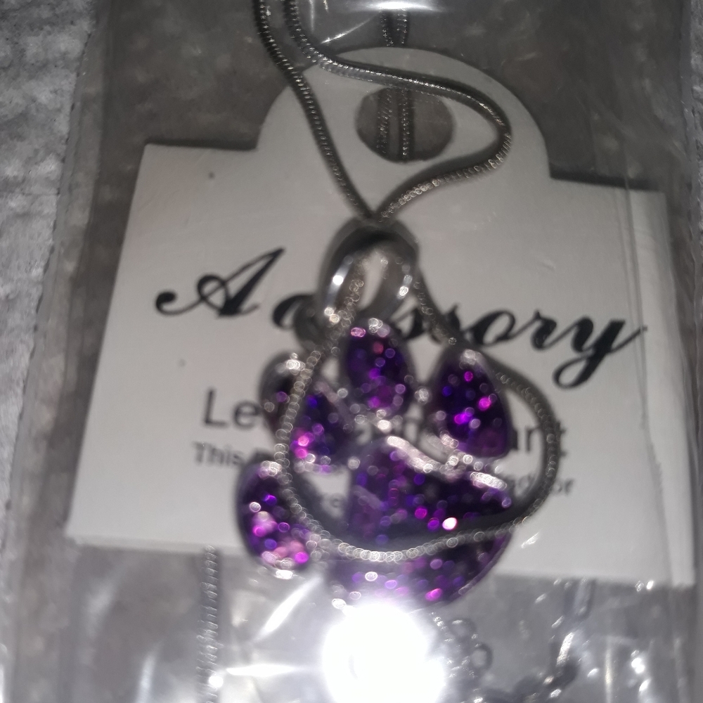 NEW Silver Dog Paw Charm Necklace Silver Plated over Stainless 18-22”chain NWT - Picture 2 of 8